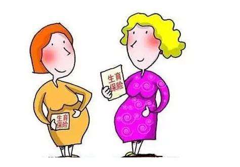 生育保險待遇 第1張 生育保險待遇 第1張