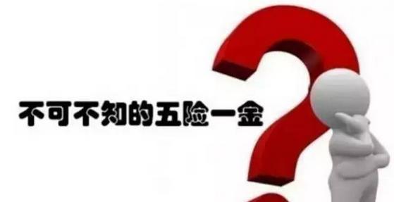 五險(xiǎn)一金好還是社保好? 第1張 五險(xiǎn)一金好還是社保好? 第1張