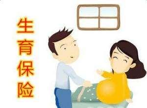 職工參加生育保險可以享受哪些待遇？ 第1張